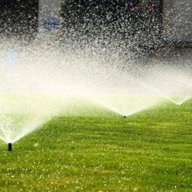 lawn sprinklers